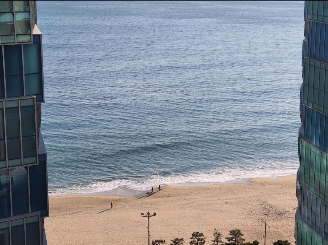 Haeundae Lavender House-Irua Hotel Busan Luaran gambar
